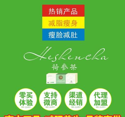 專減頑固性肥胖，高端荷葉人參茶 隨仕美荷參茶，全國一件發貨包郵